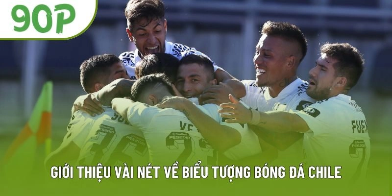Giới thiệu vài nét về biểu tượng bóng đá Chile